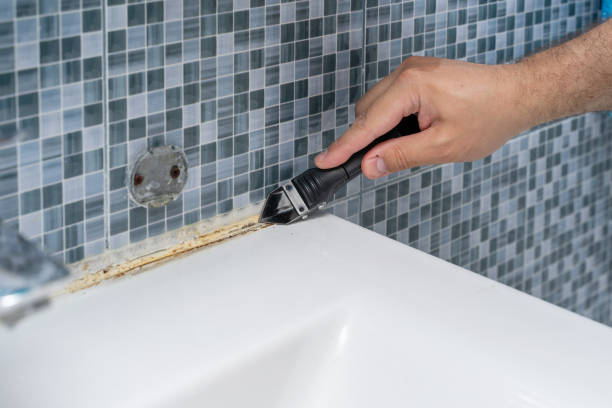 Best Commercial Mold Removal  in Selma, NC