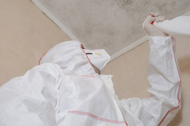 Best Attic Mold Removal  in Selma, NC