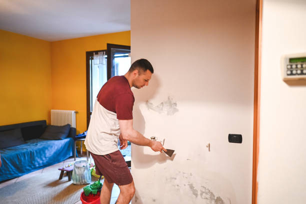 Best Fast Mold Removal  in Selma, NC