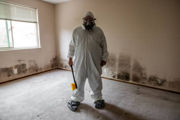 Selma, NC Mold Removal Company
